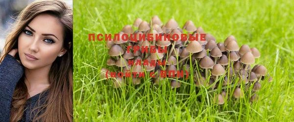 каннабис Абинск