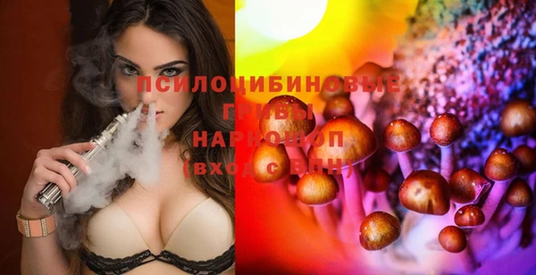 мдпв Абдулино