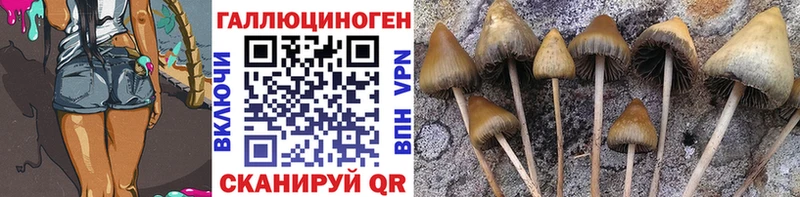 Псилоцибиновые грибы прущие грибы omg вход Стерлитамак маркетплейс как зайти сколько стоит