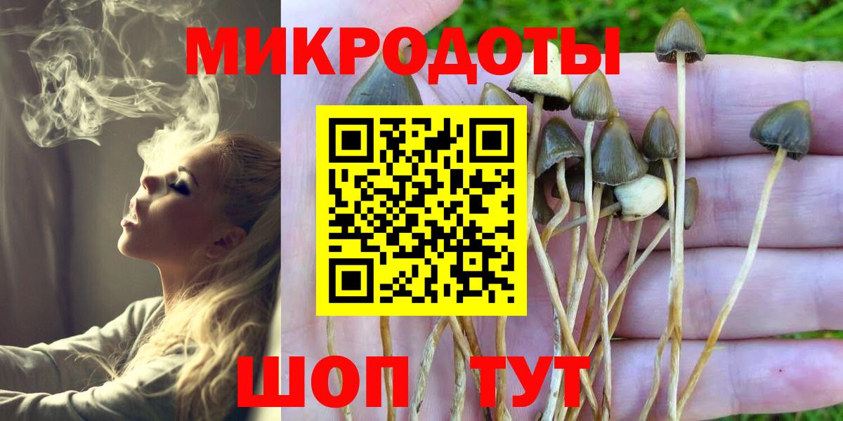 Псилоцибиновые грибы GOLDEN TEACHER  Вход с VPN  Галлюциногенные грибы Magic Shrooms  Стерлитамак 