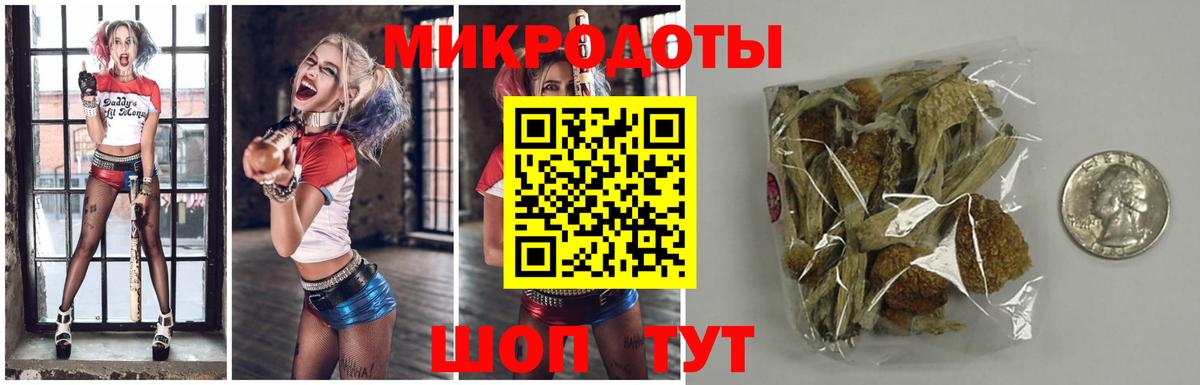 Галлюциногенные грибы мицелий Стерлитамак